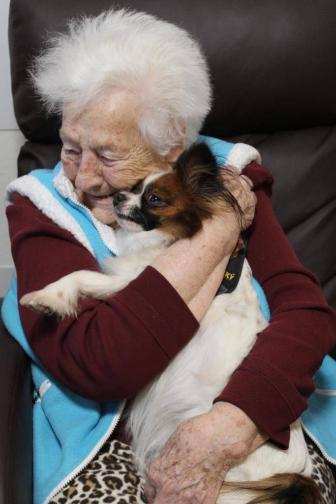 Do našeho zařízení opět zavítali psí miláčci v rámci canisterapie.   Jejich návštěva přinesla klientům chvíle plné pohlazení, blízkého kontaktu a radosti.   Setkání se psy má pozitivní vliv na psychickou pohodu, podporuje komunikaci a navozuje pocit klidu a bezpečí.
