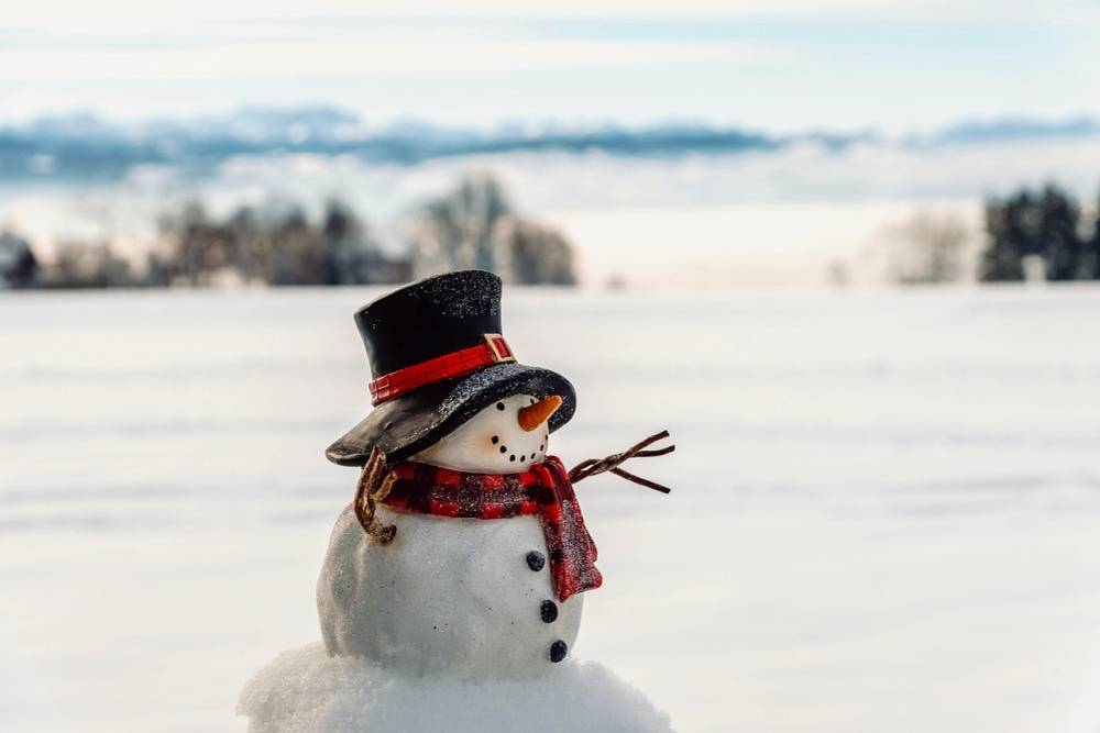 Během lednových knihovnických dílniček si děti budou vyrábět sněhuláky a sněhuláčky z filcu a papíru.