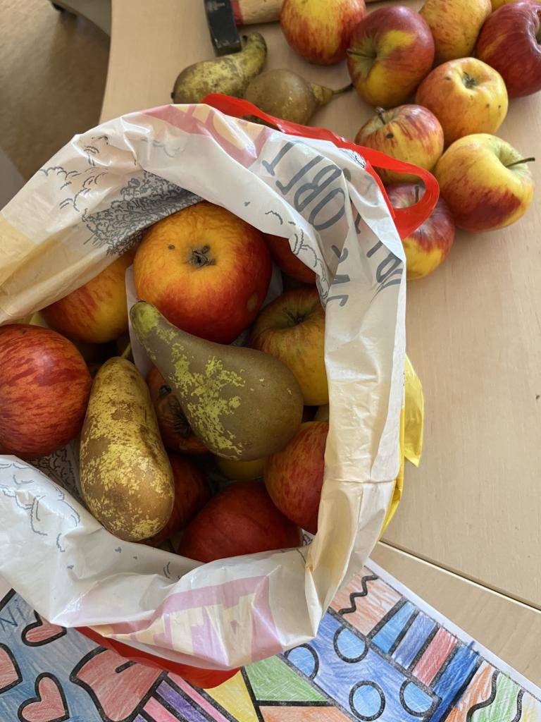 Zveme všechny zájemce v pátek 16.1. 2026 na procházku do přírody. Půjdeme s p. myslivcem K. Kovaříkem zakrmovat zvěř. Do krmelce můžete vzít seno, jablka, mrkev, různé zrní. Sraz v 13.30 u školy.  Děkujeme