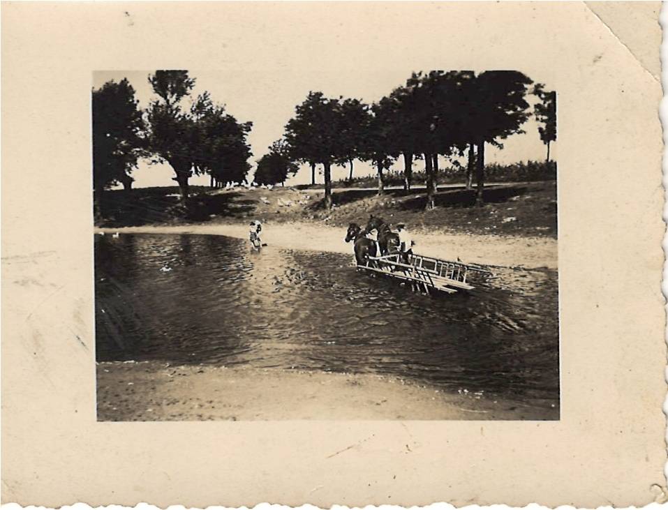 znovuzrodenie jazierka