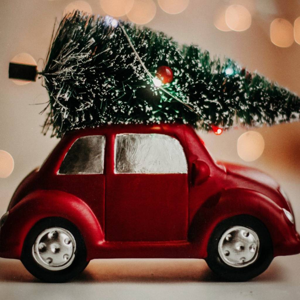 Dňa 14. januára (streda) prebehne v našej obci zber živých vianočných stromčekov. Ak máte aj vy vianočný stromček už odzdobený, vyložte ho v utorok 13.1. alebo najneskôr ráno v deň zberu pred dom a my sa už oňho postaráme.