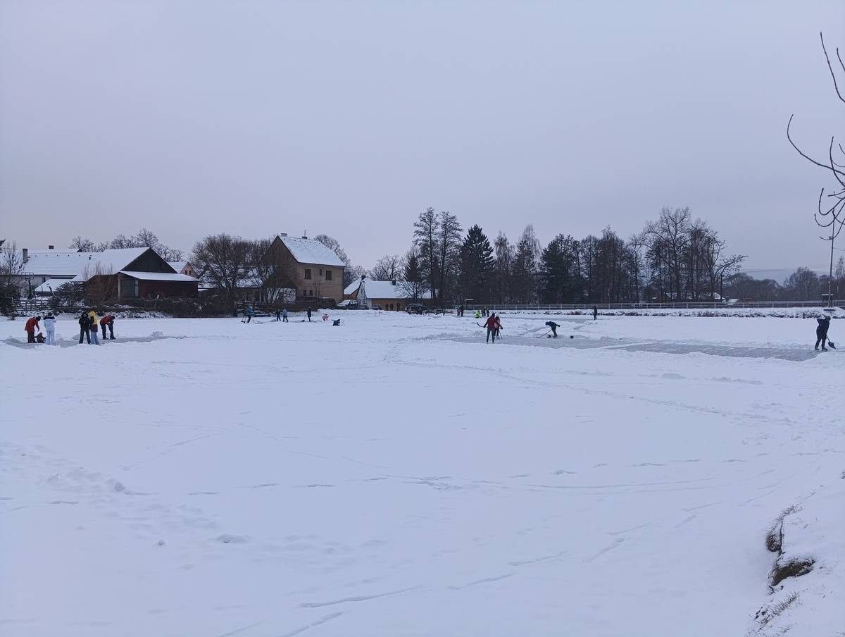 Tak nás po letech navštívila Zima. A na Opatském rybníku je živo.