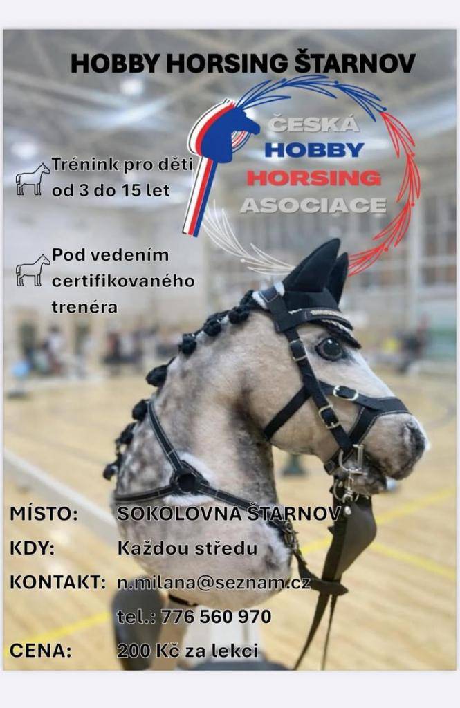 Hobby horsing nabízí jedinečnou příležitost pro mladé lidi ve věku od 3 do 15 let, aby se naučili nové dovednosti pod vedením certifikovaného trenéra. Tréninky jsou pravidelné a zaměřují se na rozvoj nejen jezdeckých schopností, ale i týmové spolupráce.