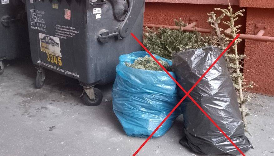 Zlín - Město Zlín zajistí také v roce 2026 svoz odložených vánočních stromků. Občané je mohou odkládat k barevným nádobám na tříděný odpad, tedy na takzvaná stanoviště tříděného odpadu. V zástavbě rodinných domů bude svoz probíhat výhradně z těchto stanovišť.