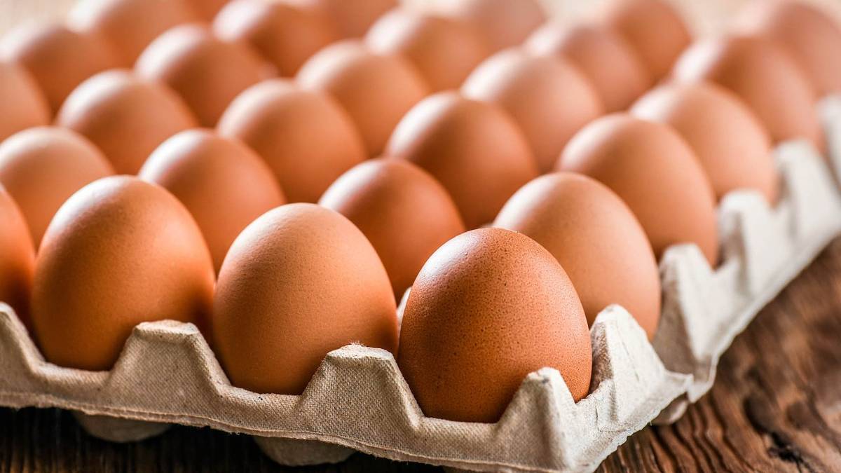 Prodejce z Hradiště oznamuje, že bude ve čtvrtek 15. 11. v době od 11:45 - 12:00 prodávat na prodejním místě vejce v proložkách za 120-180Kč/proložka, dále brambory na uskladnění 25kg po 12Kč/Kg, cibuli 10 kg od 15 Kč/Kg, česnek, med, mák a nové loupané ořechy.