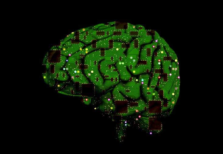 Mozkovna pro seniory aneb Trénování paměti s paní Mílou bude ve čtvrtek 15. ledna v knihovně v Rebešovicích od 16.30 do 17.30 hodin.   Počet míst 8 – 10. Rezervace na tel. čísle 608 339 423.