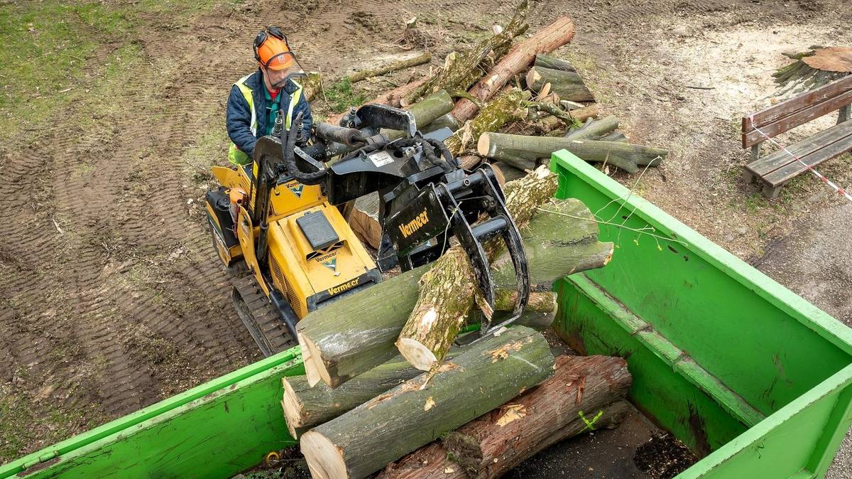 Statutární město Havířov bude v následujícím období postupně odstraňovat vybrané stromy, které jsou ve špatném zdravotním stavu nebo představují zvýšené riziko z hlediska bezpečnosti. Kácení se bude týkat například lokalit ulice Karolíny Světlé a Dlouhá třída, kde byl zaznamenán větší počet stromů s narušenou stabilitou a zhoršeným zdravotním stavem. Město si před zahájením prací nechalo zpracovat odborný dendrologický průzkum. Ten posuzoval stav jednotlivých stromů, jejich vitalitu a bezpečnost. Na jeho základě byly určeny stromy, které již není možné dlouhodobě zachovat, a to zejména z důvodu zhoršeného zdravotního stavu nebo vitality. Odstraňování stromů probíhá postupně, nikoliv plošně. Cílem je předejít možným škodám na zdraví či majetku a zároveň zachovat co největší část zdravé zeleně. "Město si uvědomuje, že stromy jsou důležitou součástí veřejného prostoru. V případech, kde to prostorové podmínky umožní a kde není výsadba omezena vedením inženýrských sítí či jinými technickými překážkami, budou odstraněné stromy nahrazeny novou výsadbou, která bude odpovídat konkrétnímu místu a jeho podmínkám," uvedl Boris Břenek z odboru komunálních služeb a dodal: "Děkujeme občanům za pochopení. Péče o zeleň je dlouhodobý proces a cílem města je, aby veřejný prostor zůstal bezpečný, funkční a příjemný pro všechny." https://havirov-city.cz/aktuality/kaceni-vybranych-stromu-ve-meste-probiha-na-zaklade-odborneho-dendrologickeho-pruzkumu