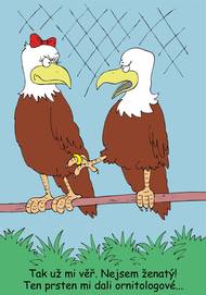 Prsten nemusí vždy znamenat, že máte po svatbě