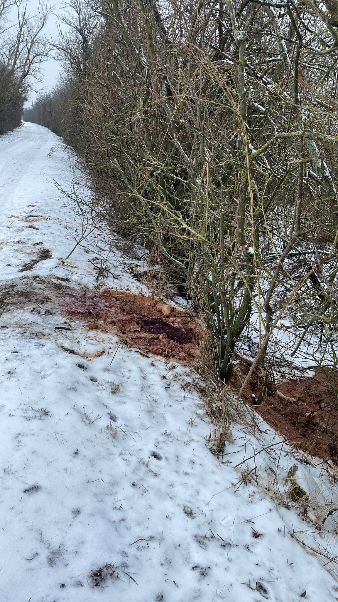 Žádáme občany, aby svoje výpalky z ovoce nevylévali do naší příkopy. Děkujeme.