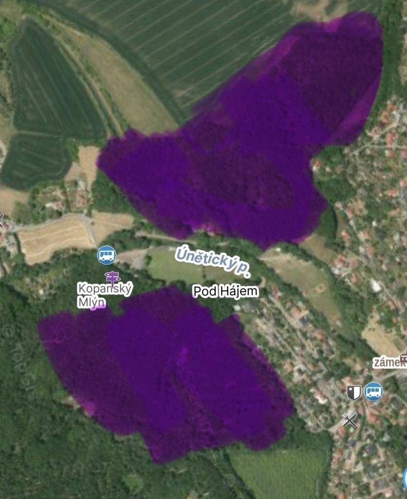 V sobotu 17.1. od 9:00 do cca 15:00 bude probíhat naháňka divokých prasat v lese mezi Tuchoměřicemi a Statenicemi a v okolí statenického fotbalového hřiště a v lese za ním (statenická bažantnice) pod Slunnou ulicí.  Akci pořádá Myslivecký spolek Únětice.  Prosíme, dbejte v uvedenou dobu zvýšené opatrnosti a raději do těchto lesních porostů nevstupujte. Foto: Obec Statenice