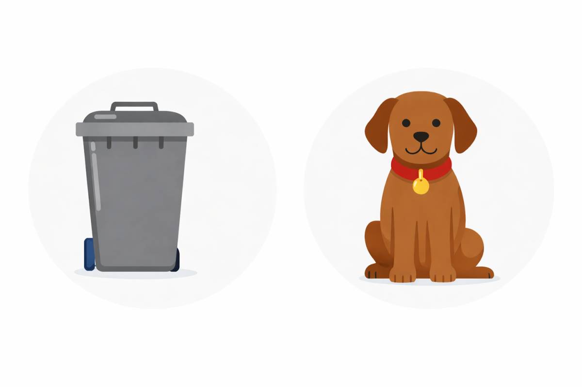 Využijte platební metodu - platbu prostřednictvím platebního portálu (https://platby.plzensky-kraj.cz/obce/domazlice/vseruby).  V případě platby na účet č. 3027321/0100 (Komerční banka, a.s.) zadejte do zprávy pro příjemce obec a č. p., za kterou je poplatek hrazen.