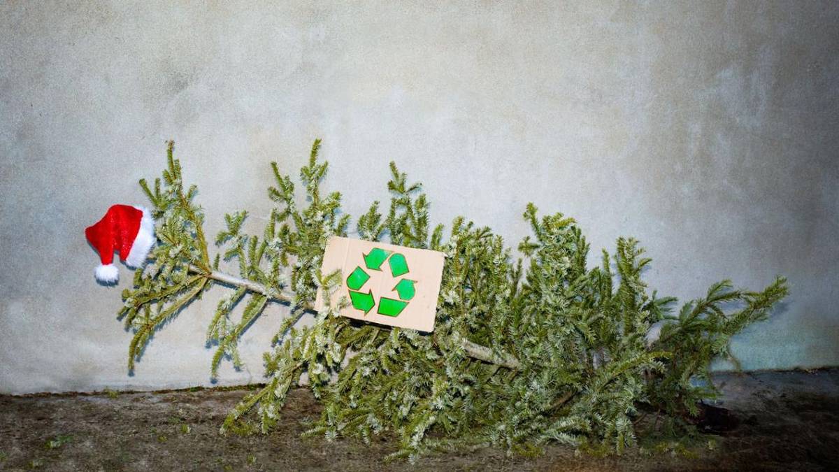 vianočný stromček - karácsonyfa