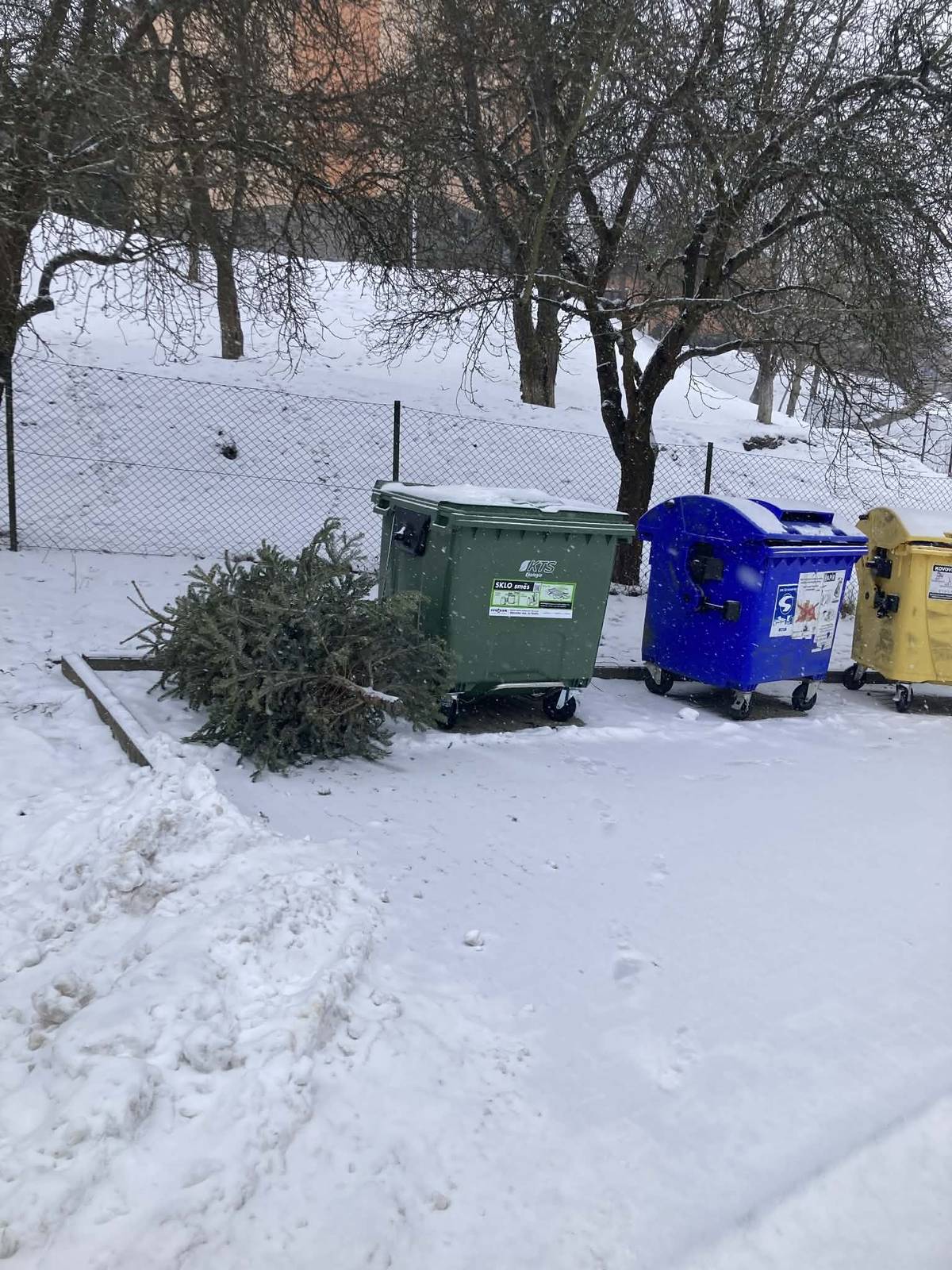 Prosíme občany, aby vánoční stromky neodkládali do kontejnerových hnízd. 🌲❌ Odstrojené vánoční stromky můžete v případě potřeby dovézt a odložit na vyznačené místo na obrázku před ČOV. Odložené stromky budou následně pracovníky obce seštěpkovány. Děkujeme.