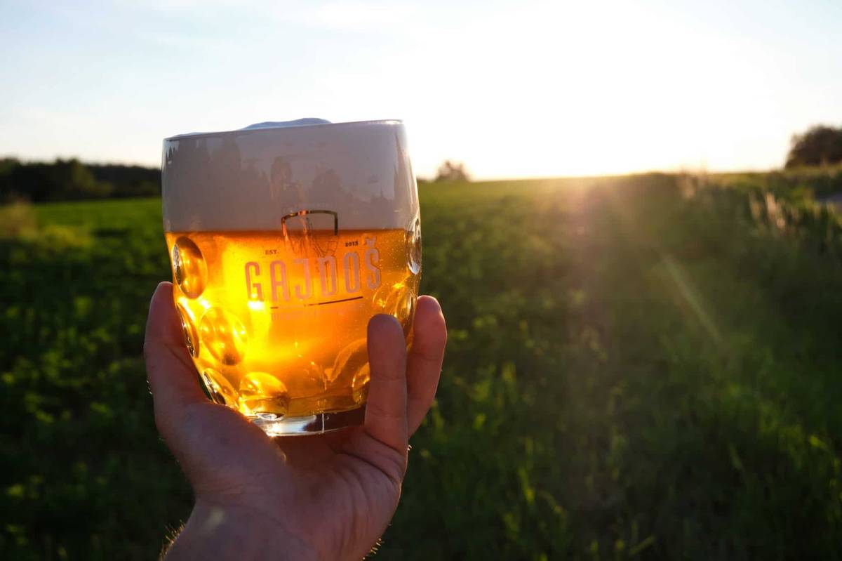 V sobotu - 17.1.2026 přijede do obce pojízdná prodejna pivovaru Gajdoš z Biskupic. Bude prodávat řemeslné pivo nepasterované, vyrobené podle klasických receptur. Pivo bude v jedno a dvoulitrových PET lahvích. Bude možno zakoupit : světlá piva - 11 , 12 a 13 ti stupňová, dále pak višňové, zázvorové, řezané a černé pivo. Máme pro Vás připraveno také dárkové balení. Prodej proběhne před Obecním úřadem od 14.00 do 14.45. Možno platit i kartou,,.