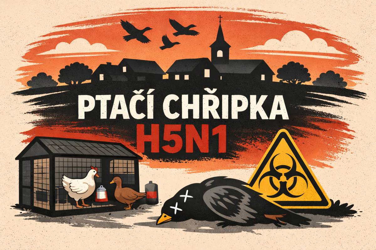 Státní veterinární správa potvrdila výskyt ptačí chřipky (H5N1) u volně žijících ptáků v blízkosti obce (koupaliště Nová Ves).