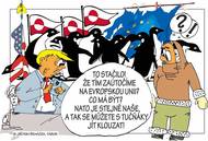 S tučňáky se jít klouzat…