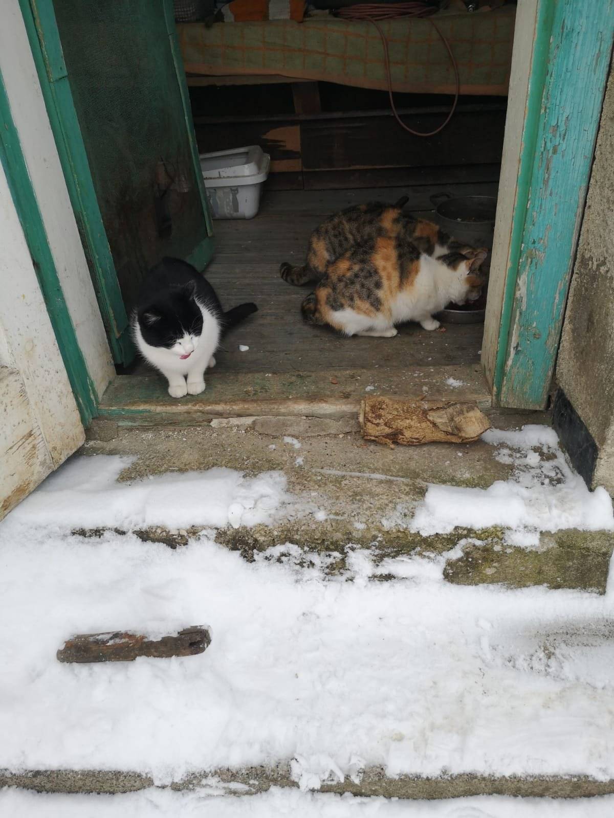 Zájemci mohou volat na tel. č. 607 043 250.