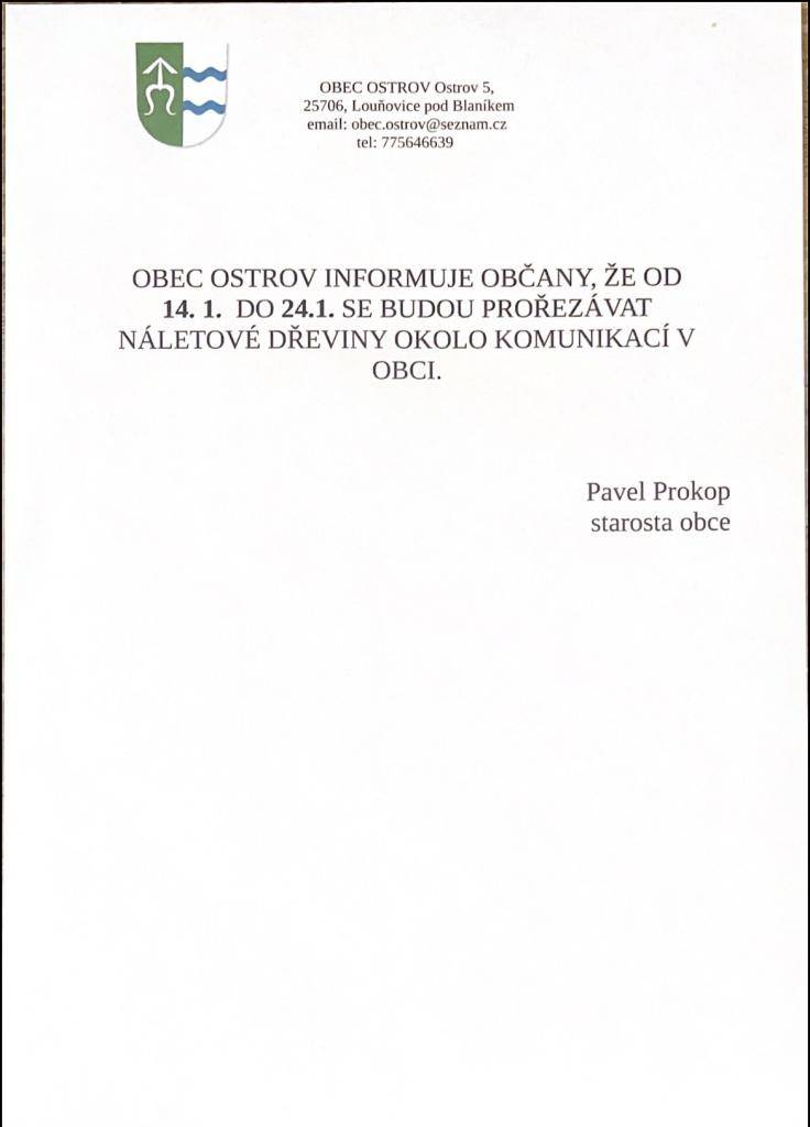 Vyřezávaní dřevi