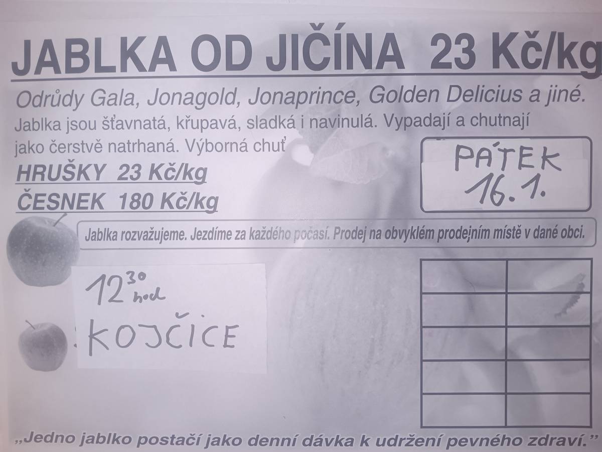 JABLKA OD JIČÍNA - prodej v Kojčicích v pátek 16.1. 2026 od 12:30 hodin. Prodej jablek a hrušek za 23,- Kč/kg, prodej česneku 180,- Kč/kg.
