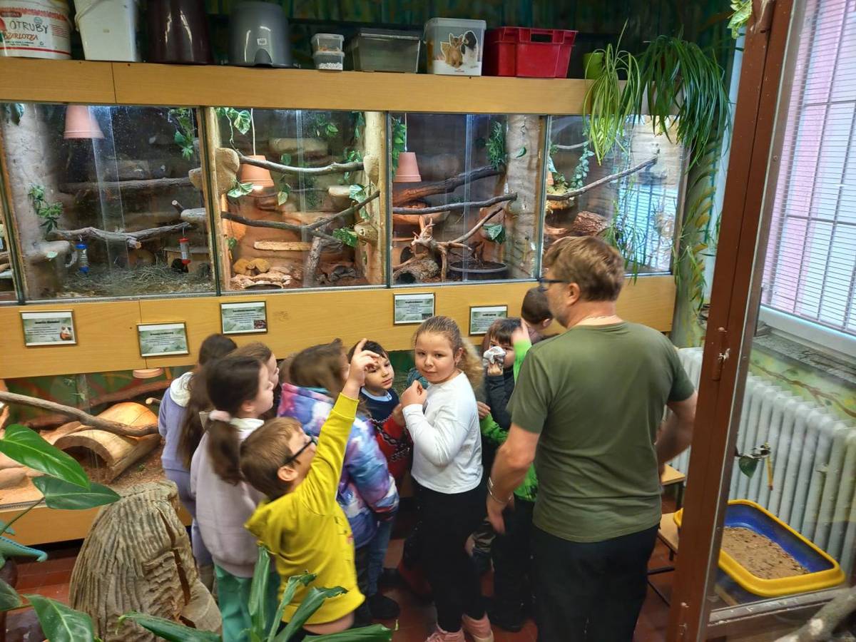 V tento den nám počasí nepřálo, ale nám to nevadilo. Trpělivě jsme čekali na zpožděný školní autobus a vyrazili do Nového Bydžova na pohádku O pokladu na konci duhy. Pak jsme se zastavili v minizoo na ZŠ Karlova a cestou na autobus stihli i nákupy. Bylo to moc fajn!