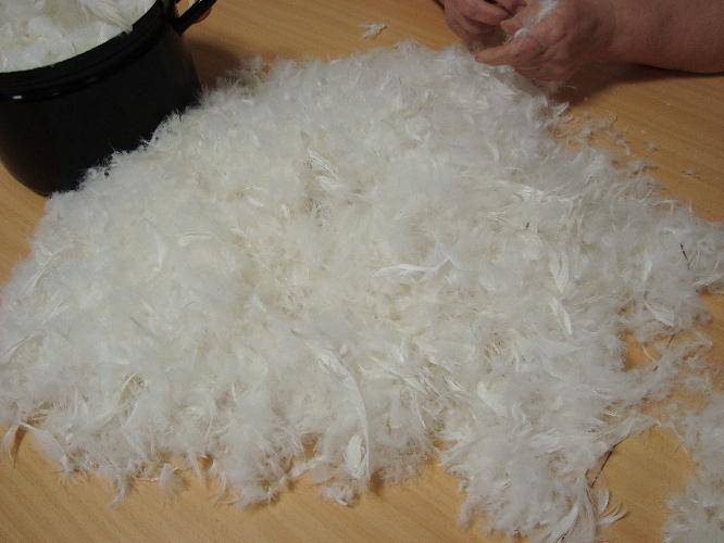 Obec Lokca a Jednota dôchodcov Slovenska pozývajú na Páračky, ktoré sa uskutočnia 7. februára 2026 o 17.00 hod. v kultúrnom dome v Lokci. Príďte si zaspomínať na tradičné párenie peria a užiť si príjemné posedenie s občerstvením.