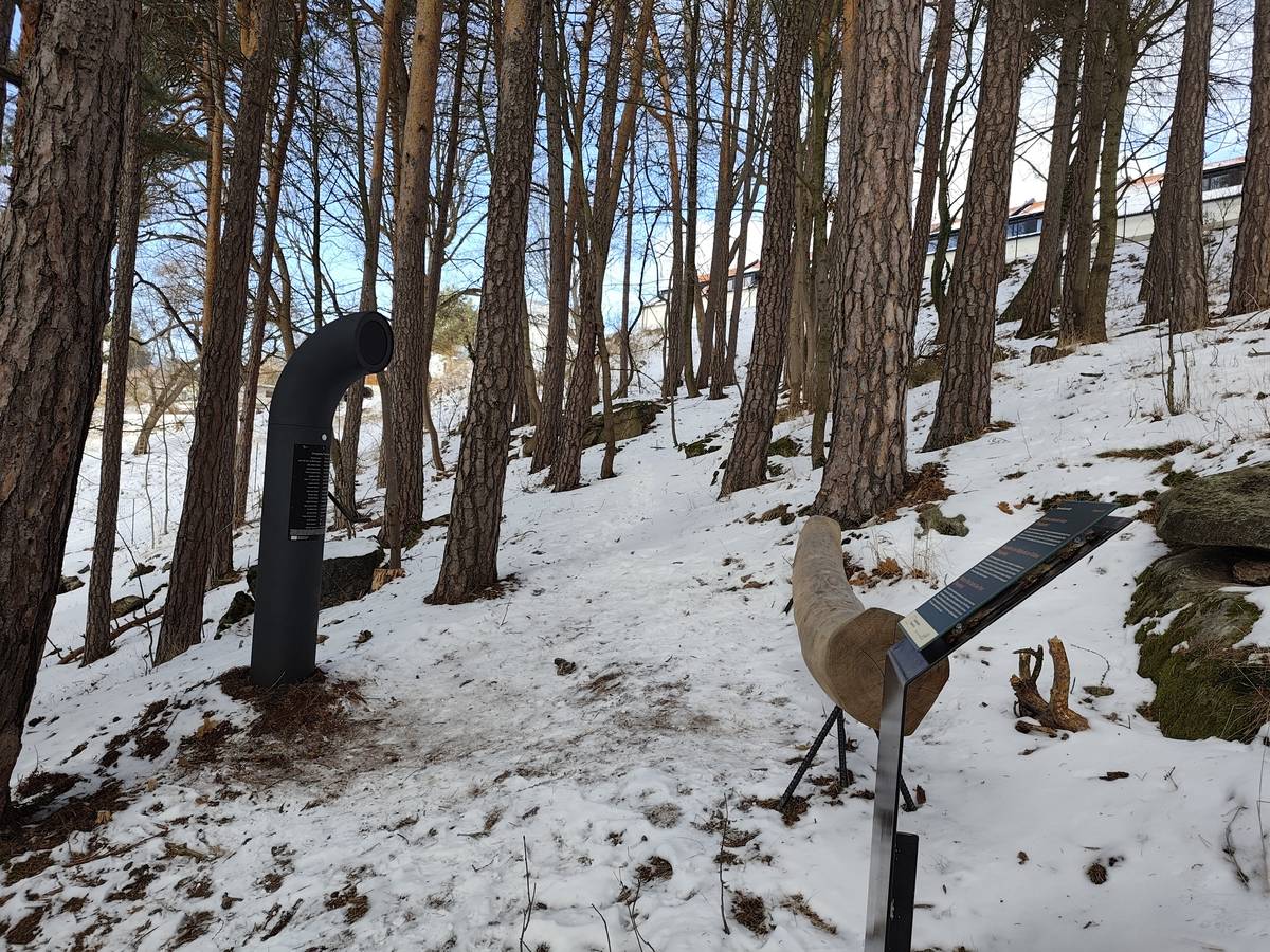 Zámeckou stezku v bývalé oboře pod vimperským zámkem obohatil poesiomat. Přístroj recituje úryvky současné i klasické šumavské literatury namluvené místními osobnostmi. Vimperk je tak dalším místem, kde lze na „mluvící sochu“ přibližující genius loci narazit. Více na poesiomat.cz. Video vimperského poesiomatu na YOUTUBE. Druhou etapu stezky zámeckou oborou vybuduje město v letošním roce, a pokud bude úspěšné se žádostí o dotaci, dokončí ji úplně včetně propojení až dolů do Pivovarské ulice. Zatím je stezka přístupná pouze od zámku. Dosud těžko přístupná část Vimperka v příkrém svahu pod zámkem se díky nové síti zpevněných pěšin, stezek a odpočinkových míst promění v příjemné místo pro relaxaci místních i návštěvníků, kteří si zde například mohou krátit čekání před prohlídkou zámku. Pořízení poesiomatu bylo spolufinancováno Evropskou unií.