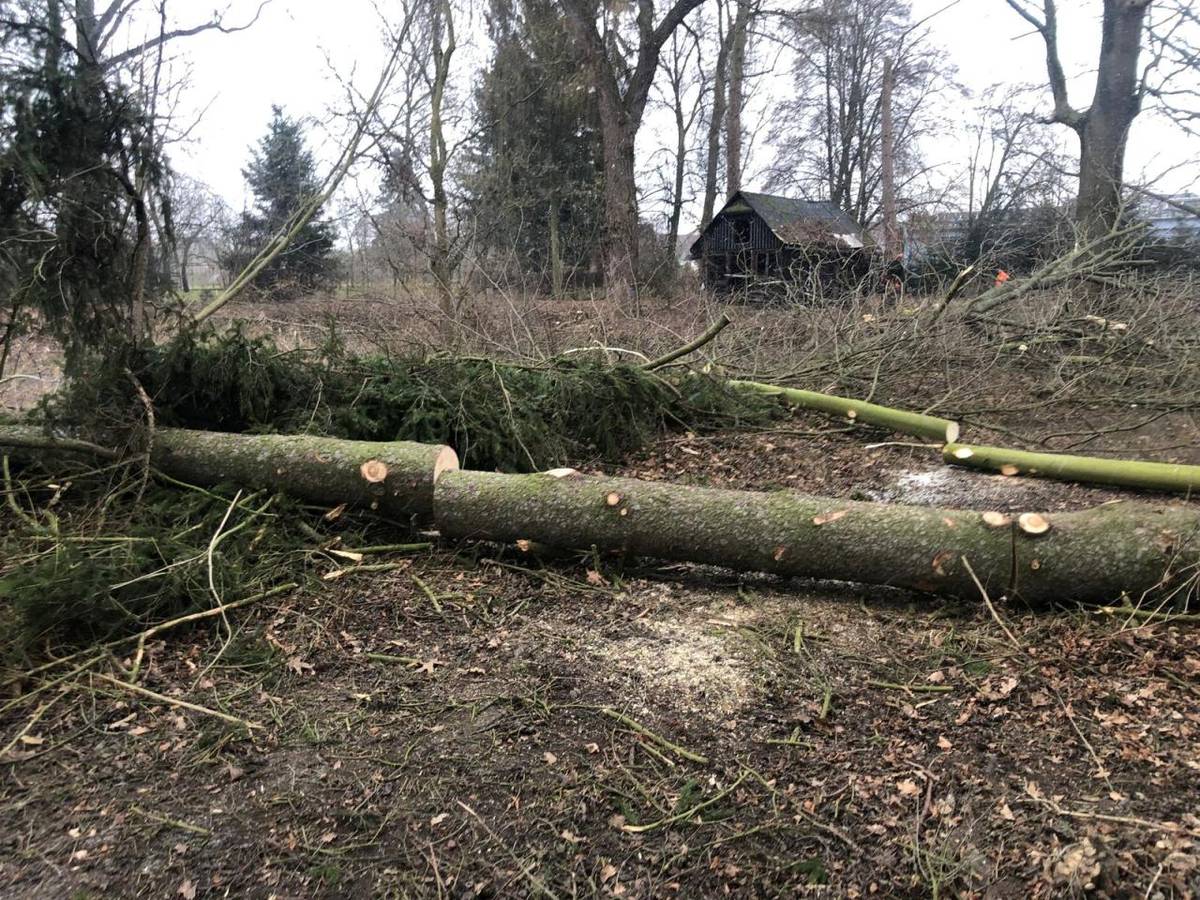 Dnes započal dlouho avizovaný projekt Revitalizace Štěpánkova rybníka podporovaný dotačním programem „Z1507 Operační program životní prostředí – 2021–2027“ Agentury ochrany přírody a krajiny České republiky, během kterého bude probíhat kácení dřevin a zemní práce.