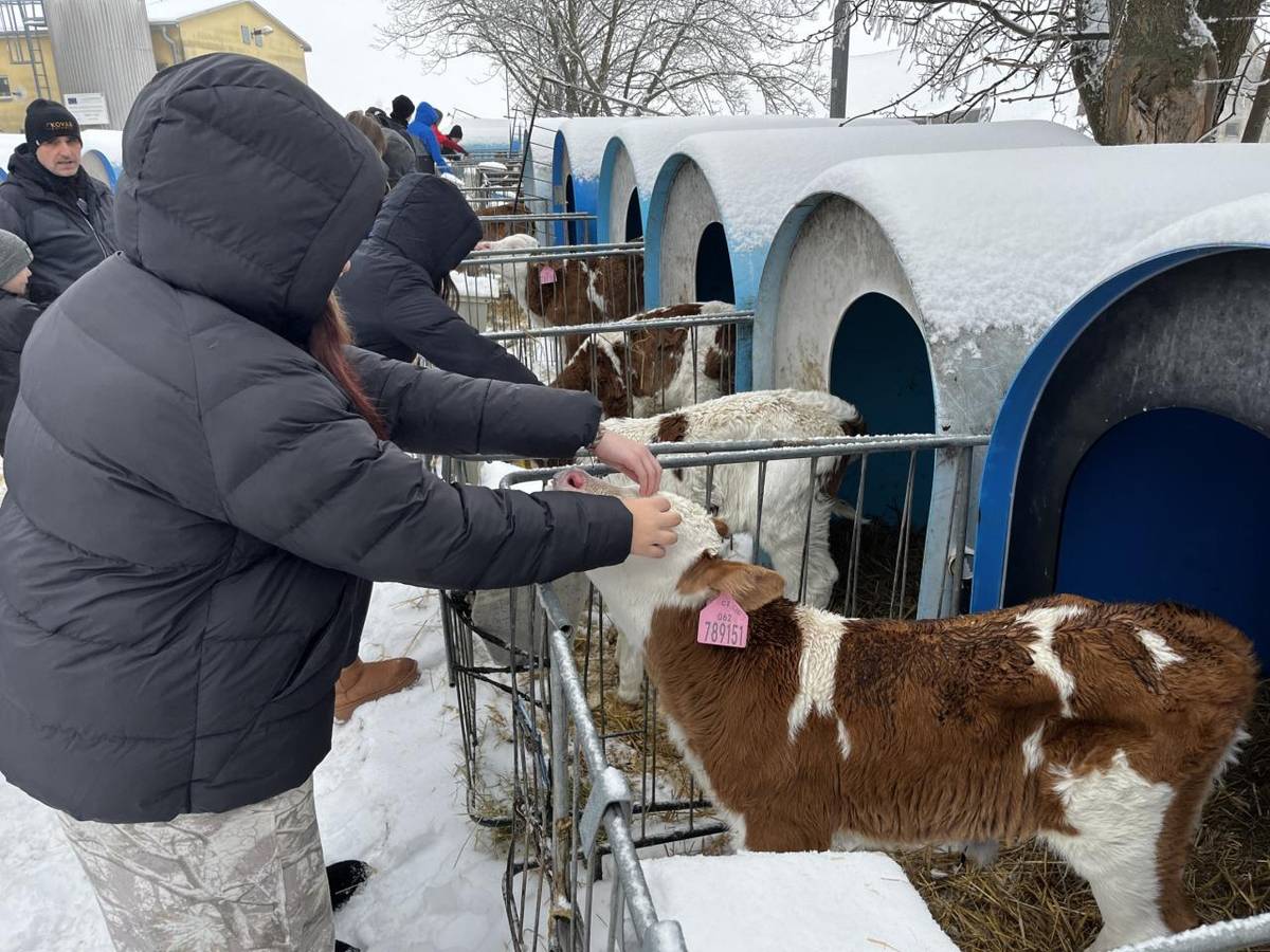 Žáci obou 7. tříd navštívili mléčnou farmu, kde se seznámili s péčí o skot, welfare zvířat a procesem získávání mléka. Exkurze byla nejen praktickým doplněním výuky, ale také pomocí při orientaci v možnostech dalšího studia a volby budoucího povolání.