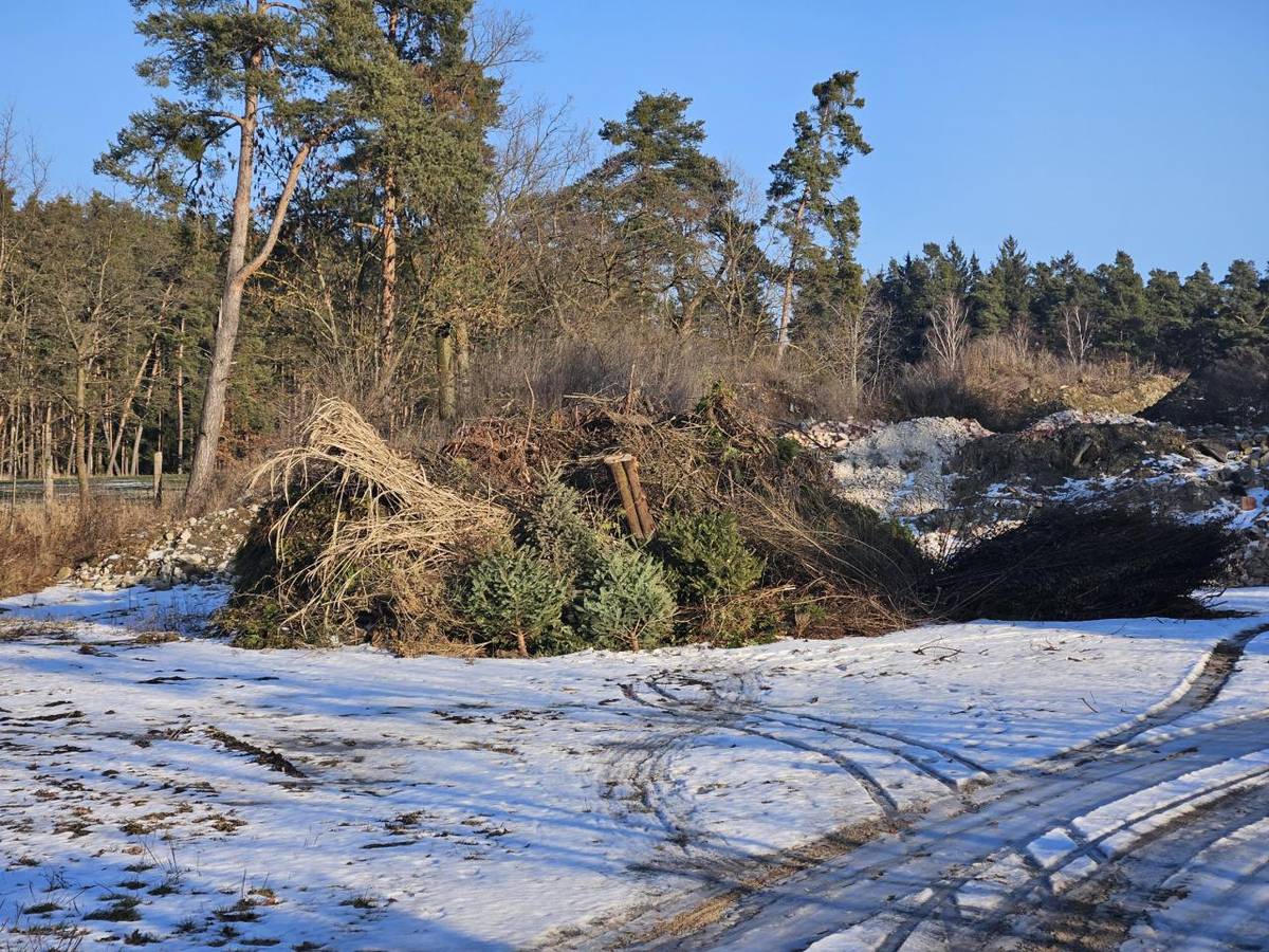 Větve a jiné dřeviny můžete ukládat do Hliněnek, nikoli do zeleného kontejneru na biologicky rozložitelný odpad rostlinného původu. Do tohoto kontejneru patří pouze rostlinné zbytky, tráva, ovoce, zelenina, piliny, hobliny, ale v žádném případě větve.