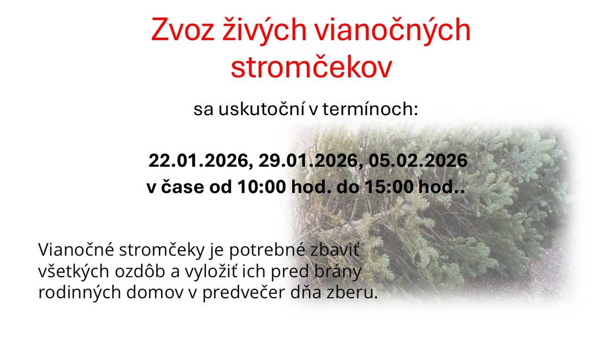 Živé vianočné stromčeky zbierame v čase od 10:00 hod. do 15:00 hod. v termínoch 22.1.2026, 29.1.2026 a 5.2.2026.