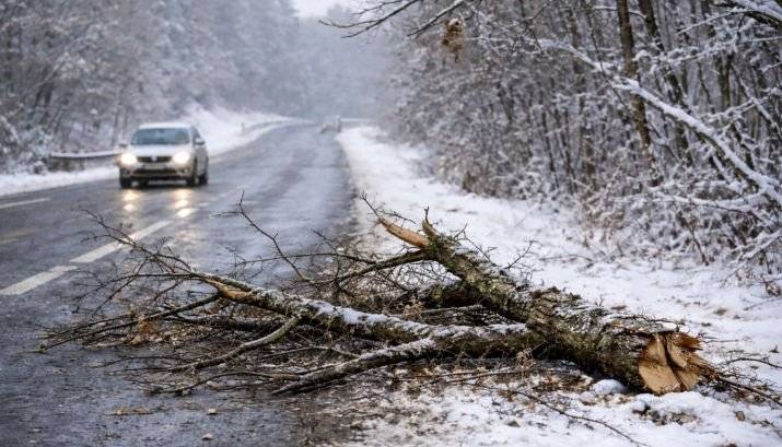 Ředitelství silnic Zlínského kraje upozorňuje na povinnost vlastníků pozemků provádět údržbu stromů a keřů v blízkosti silnic II. a III. třídy.    V zimním období hrozí při nepříznivém počasí (vítr, sníh) pád suchých nebo poškozených větví do vozovky, což může ohrozit bezpečnost provozu.    Koho se to týká?    Vlastníků pozemků, z nichž vegetace: – zasahuje do vzdálenosti 15 metrů od osy vozovky silnice II. nebo III. třídy (ochranné pásmo), – může ohrozit silniční provoz bez ohledu na vzdálenost od silnice.     Povinnosti vlastníků pozemků podle občanského zákoníku:   – pravidelně kontrolovat stav dřevin (s ohledem na jejich stáří a vzrůst), – provádět údržbu – ořezávat větve, případně kácet staré poškozené stromy, – předcházet škodám na životě, zdraví a majetku.    V případě způsobení škody v důsledku pádu stromu nebo větve odpovídá za škodu vlastník pozemku, neboť strom je součástí pozemku.  Věřím, že společnou aktivitou přispějeme k bezpečnosti silničního provozu, která má zásadní význam pro ochranu života a zdraví v našem regionu.