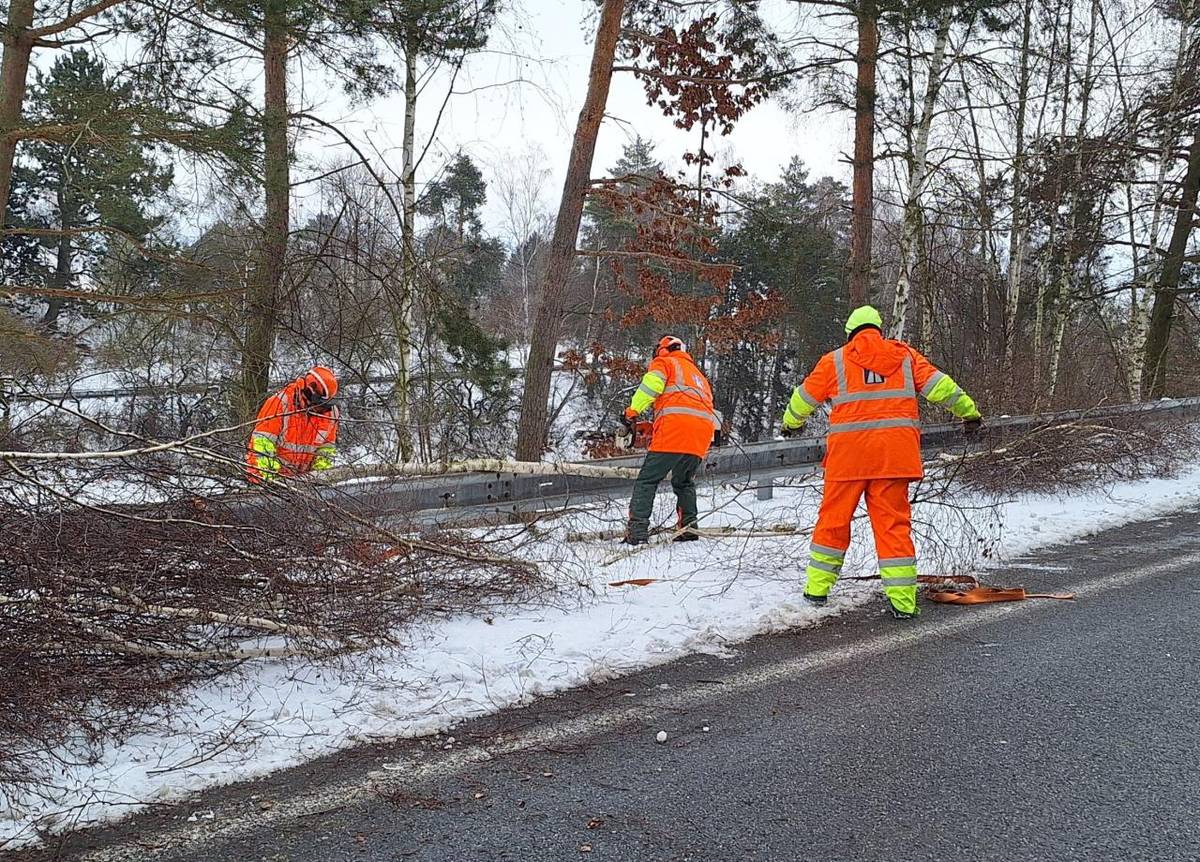 Nejnáročnější období roku teď zažívají zaměstnanci Ředitelství silnic a dálnic, kteří se starají o zimní údržbu. Tato práce je sice spojená hlavně se solením a očistou dálnic, kterou na ŘSD zajišťuje 213 sypačů, ale to není všechno. Zimní údržba totiž zahrnuje i prořezávání stromů a dalších dřevin.