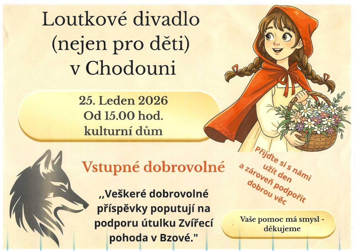 Loutkové divadlo (nejen pro děti)