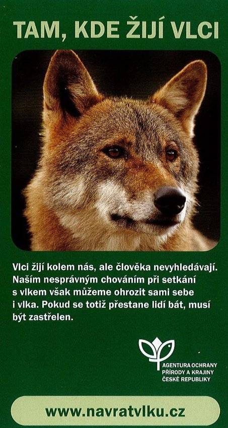Správa CHKO Brdy zaslala informace k návratu vlků do Brd. V příloze naleznete letáky poskytující základní informace o tom, jak se chovat v oblastech jejich výskytu.