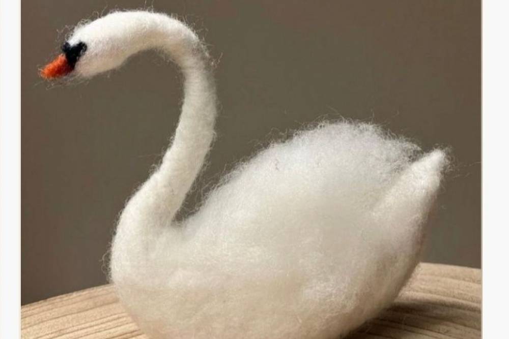 Pojďte si s námi vyzkoušet techniku plstění. Naučíme Vás, jak se vytváří plstěná labuť z ovčího rouna. Kurz je vhodný pro děti od 10 let. V ceně je materiál, pomůcky a vstupné ...