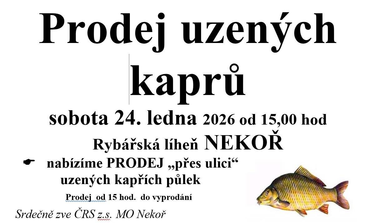 Nekořští rybáři nabízí prodej uzených půlek kaprů sobota 24.1.2026 od 15hodin v líhni