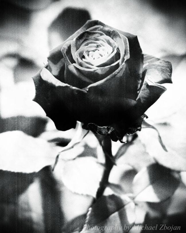 Dňa 13.1.2026 nás vo veku 88 rokov opustil pán Štefan Bumbera. Posledná rozlúčka so zosnulým bude v piatok 16.1.2026 o 13:15 hod. v Dome smútku. Rodine vyjadrujeme úprimnú sústrasť.