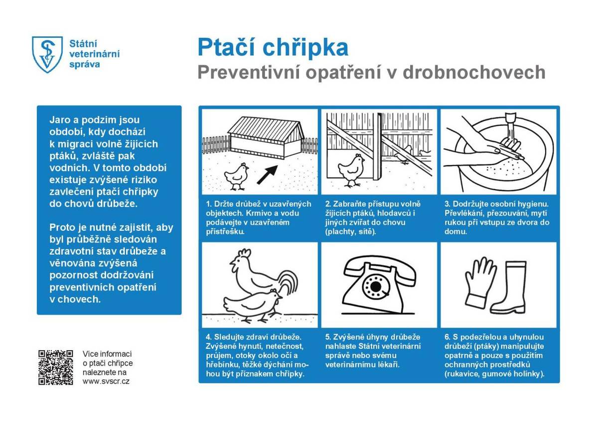 Preventivní opatření v drobnochovech – potvrzený výskyt newcastleské choroby (ptačí chřipka)