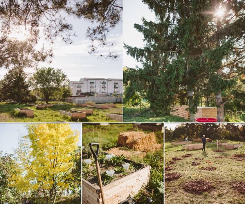 🥕🌳💦Zahrada má nově vybudovanou vodovodní přípojku, kompostér i truhlu na nářadí. V rámci komunitního dne proběhla výsadba ovocných keříků 🫐sloužících všem nájemcům.   Záměr pronájmu s instrukcemi, jak se přihlásit, najdete na úřední desce:   https://jih.brno.cz/w/zamer-obce-prodat-smenit-darovat-pronajmout-propachtovat-nebo-vypujcit-h-hmotnou-nemovitou-vec-nebo-pravo-stavby-anebo-je-prenechat-jako-vyprosu-50