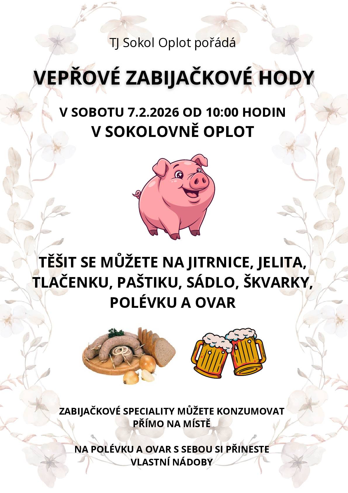 V OPLOTU V SOKOLOVNĚ