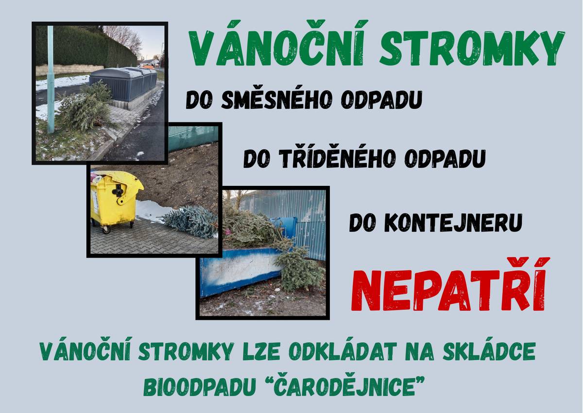 Vánoční svátky jsou za námi a po odstrojení vánočního stromku, začnete řešit, kam s ním....  Informace ohledně likvidace bioodpadu naleznete na webových stránkách obce: https://www.bradlec.cz/likvidace-bioodpadu