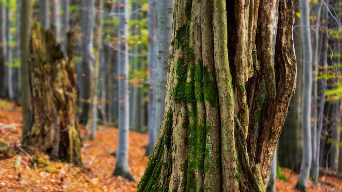 Návštěvní řád naučné stezky Mionší 2025