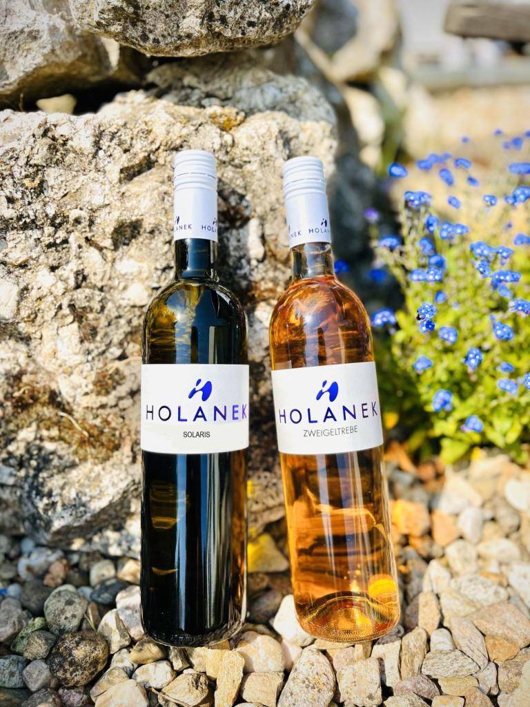 Vinařství Holánek přijede v sobotu 24.1.2026 s pojízdnou vinotékou. Tento týden přiveze vinařství Holánek v akci polosladké Zweigeltrebe rosé za 160 Kč, suchý Solaris za 140 Kč, vína sudová 80-90 Kč/litr, vína lahvová výběr z hroznů, pozdní sběr 150-250 Kč.