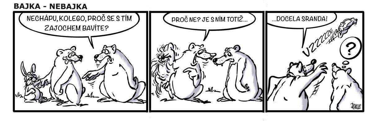 Bajka - nebajka: Proč a s kým se baví medvědi