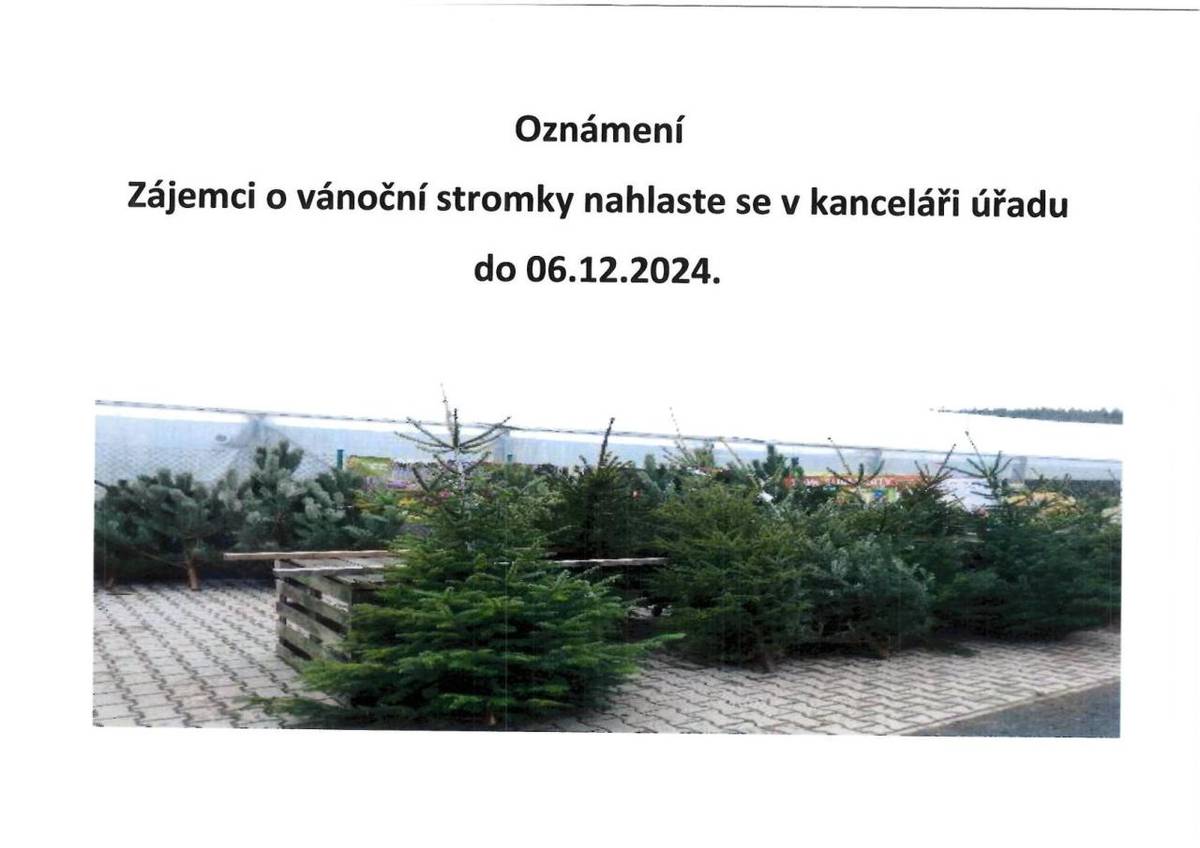 Zájemci o vánoční stromky nahlaste se v kanceláři úřadu do 6.12.2024