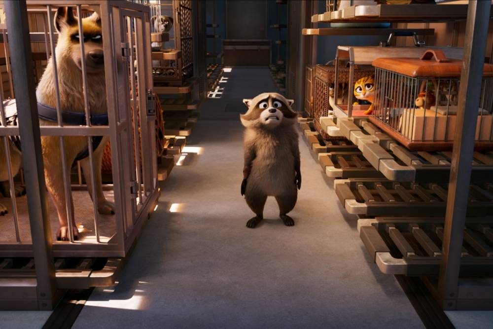 Přidej se k dobrodružství, které sviští na plné obrátky! Je čas ukázat drápky! Když se ve vlaku rozezní nouzový poplach, všichni cestující jsou evakuování. Tedy, vlastně ne tak ...