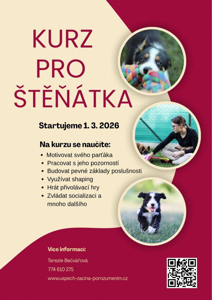 Startujeme kurz pro štěňátka, který začne 1. března 2026. Na kurzu se účastníci naučí motivovat svého parťáka, pracovat s jeho pozorností a budovat pevné základy poslušnosti. Dále se zaměříme na shaping, přivolávací hry a socializaci.
