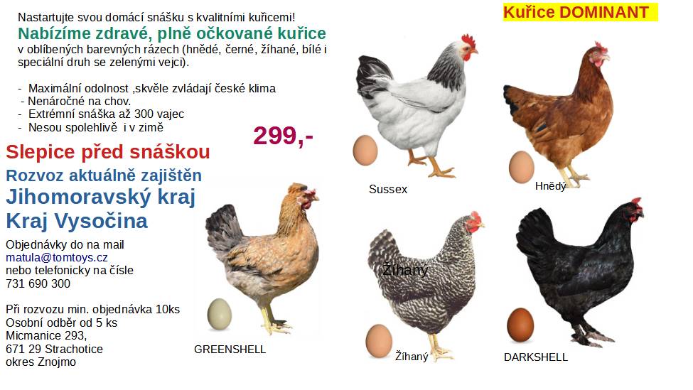 Vážení spoluobčané v průběhu týdne max. 14 dnů přijede do naší obce prodejce slepic před snáškou.  Máte-li zájem si objednat slepice před snáškou  s dovozem k vám domů, kontaktní údaje s nabídkou   najdete v letáčku.