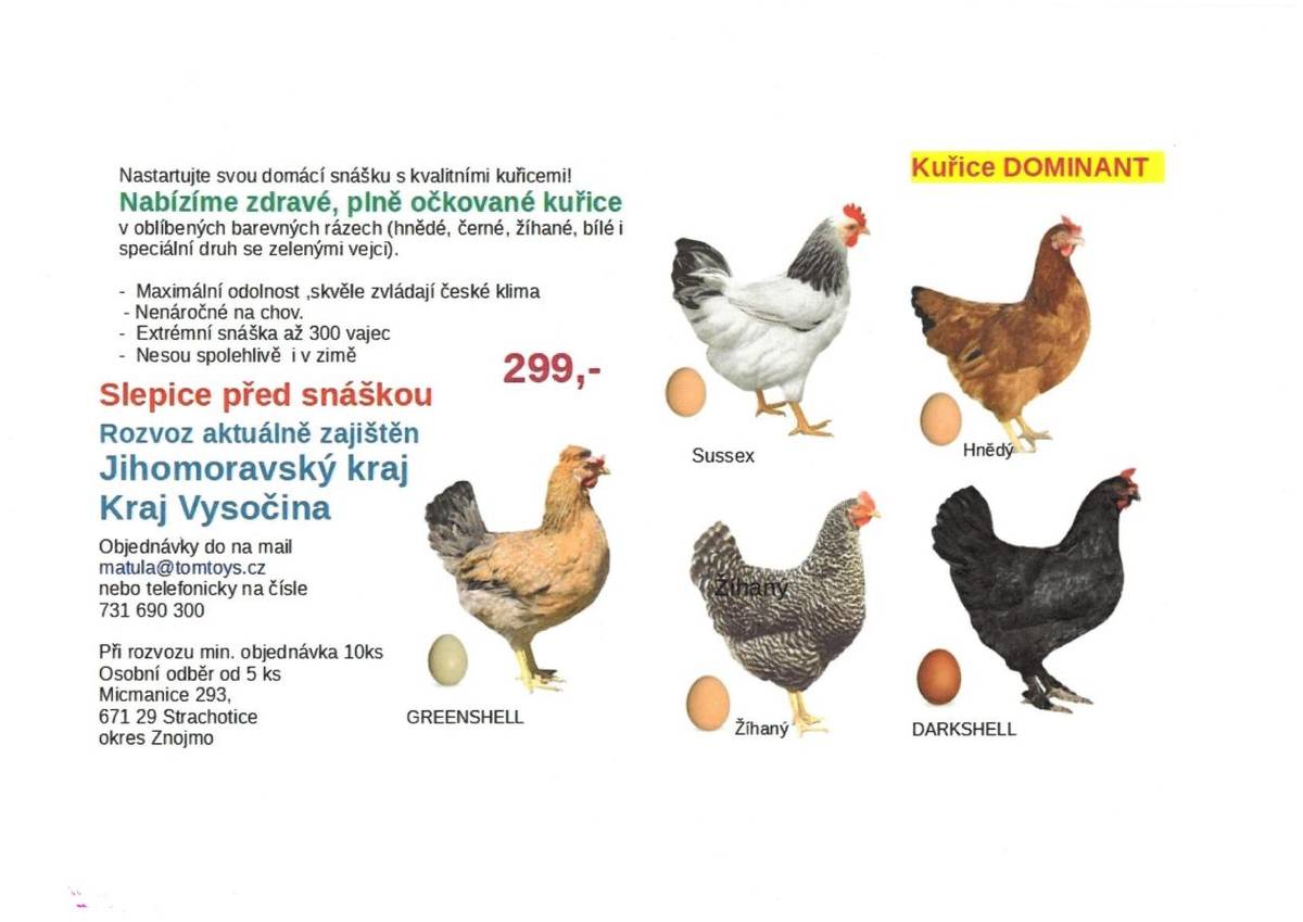 Prodej slepic