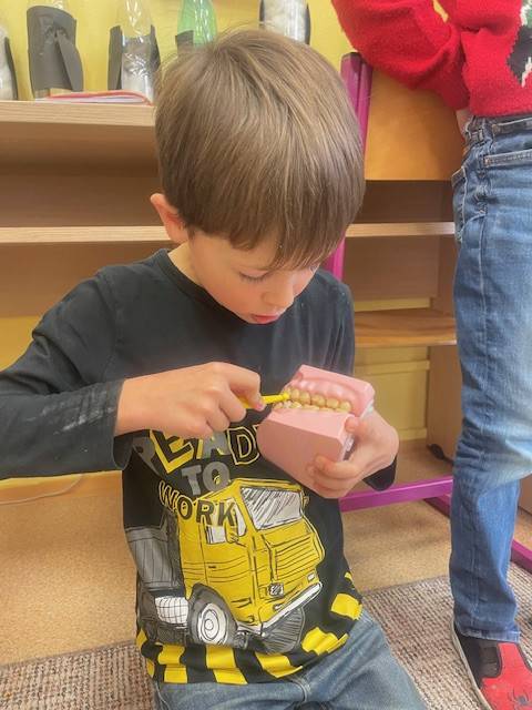 Jak vzniká zubní kaz a jak mu správně předcházet? To se dozvěděli naši druháci během interaktivní besedy o dentální hygieně. Pod odborným dohledem paní zubařky P. Konečné si vyzkoušeli správnou techniku čištění zubů a zjistili, proč je důležitá pravidelná péče. Děkujeme za profesionální instruktáž!